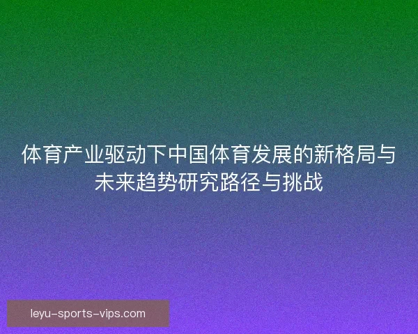 体育产业驱动下中国体育发展的新格局与未来趋势研究路径与挑战